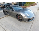 Porsche Cayman GTS PDLS+ BOSE Adaptive Sportsitze